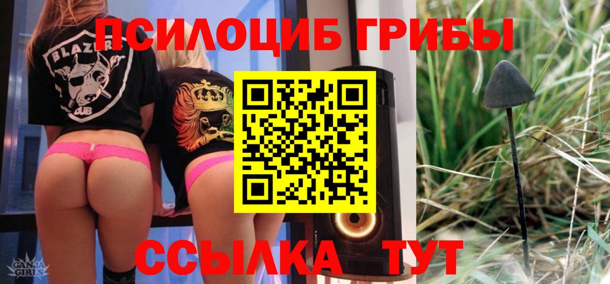 Елец  Псилоцибиновые грибы ЛСД  как найти закладки  Вход с VPN 